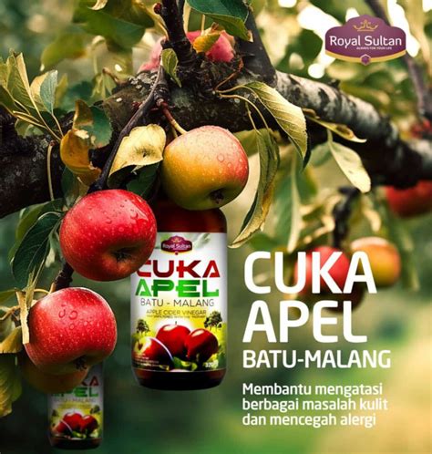 Cuka Apel Apple Cider Vinegar Royal Sultan Lazada Indonesia