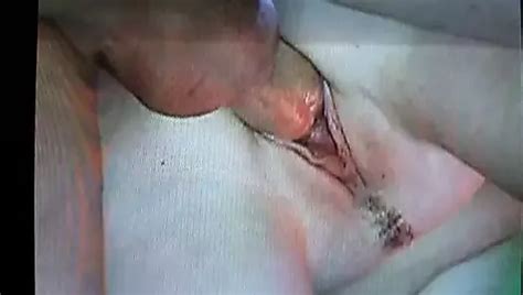 Free Fuck Pussy Porn Videos 733 XHamster