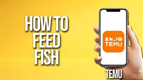 How To Feed Fish Temu Tutorial Youtube