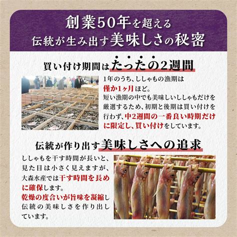 【楽天市場】【ふるさと納税】しらぬか産 本ししゃも 【数量限定】【計10尾～60尾】 メスはプチプチ オスは濃厚 とっても美味しい ふるさと