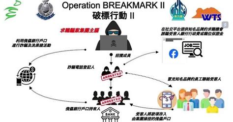 警方打擊網上騙案拘114人 73宗涉款逾7300萬 網上求職騙案佔3成