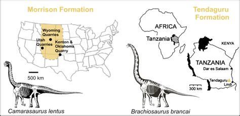 Fig S1 Maps With The Spatial Distribution Of The Late Jurassic