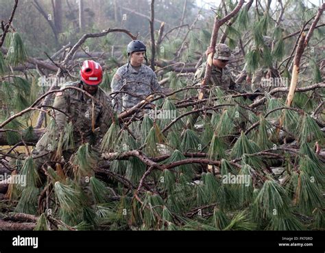 Florida National Guardsmen Navigate Downed Trees To Check On Residents