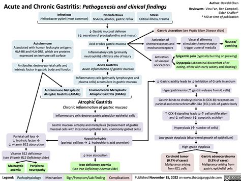 Acute and Chronic Gastritis: Pathogenesis and clinical findings ...