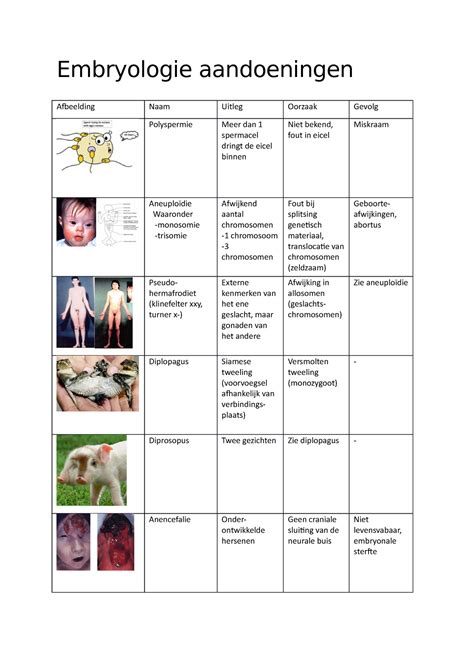 Embryologie Aandoeningen Embryologie Aandoeningen Afbeelding Naam