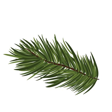 Green Pine Leaf Png