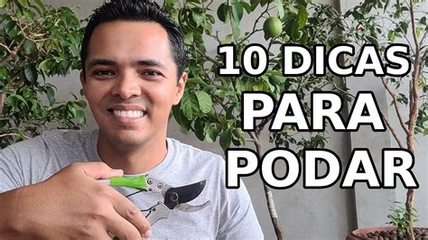 10 Dicas Para Aprender A Podar As Plantas Sem Erros YouTube