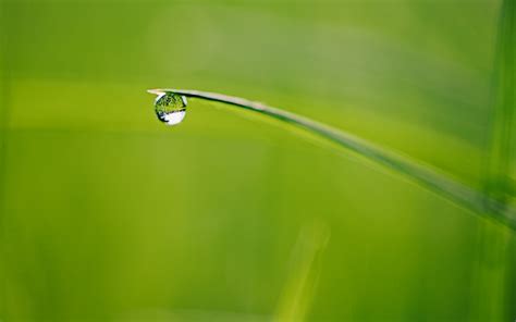 Wallpaper Sunlight Water Reflection Grass Green Yellow Dew