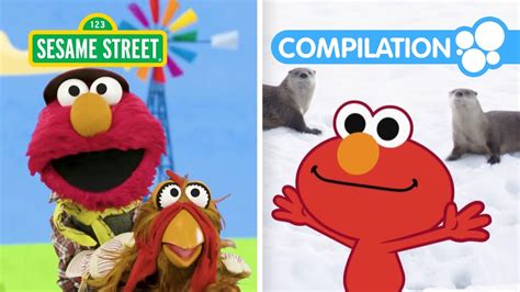 Elmo And Friends Learn About Animals 2 Hour Sesame Street Animal