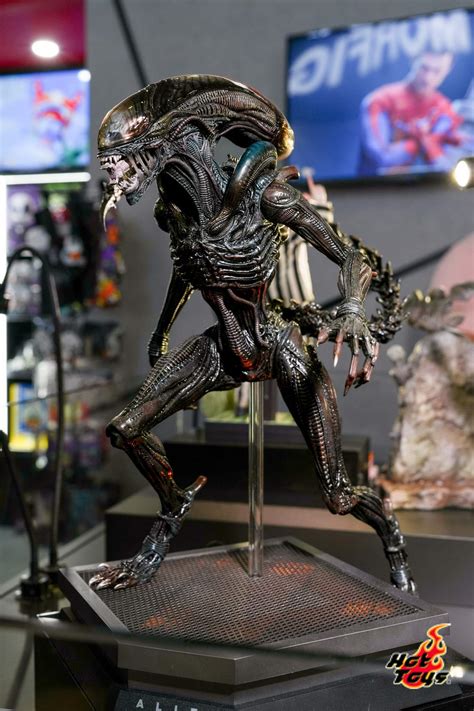 Hot Toys Figures 討論區 HT寒冬期 LIHKG 討論區