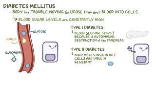 Diaphoresis: What Is It, Causes, Signs, and More | Osmosis