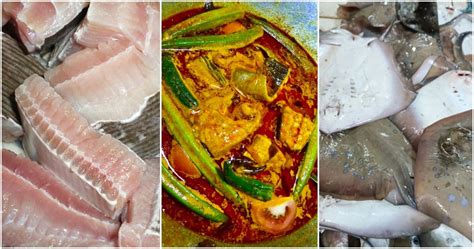 Ikan Pari Jenis Tips Pilih Pari Segar And Resepi Wajib Cuba