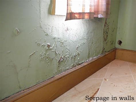 Paint To Use For Damp Walls At Thomas Zepeda Blog