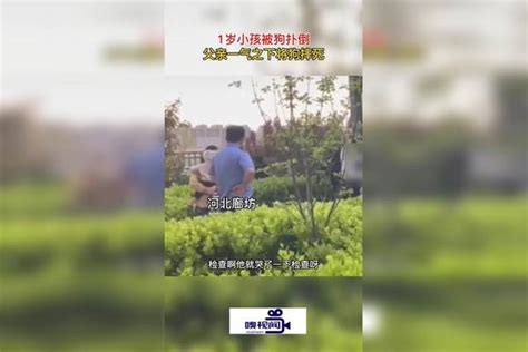 河北廊坊：1岁小孩被狗扑倒，父亲一气之下将狗摔死 廊坊 一气之下 小孩