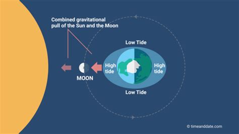 How Do The Earth Moon And Sun Affect Tides - The Earth Images Revimage.Org