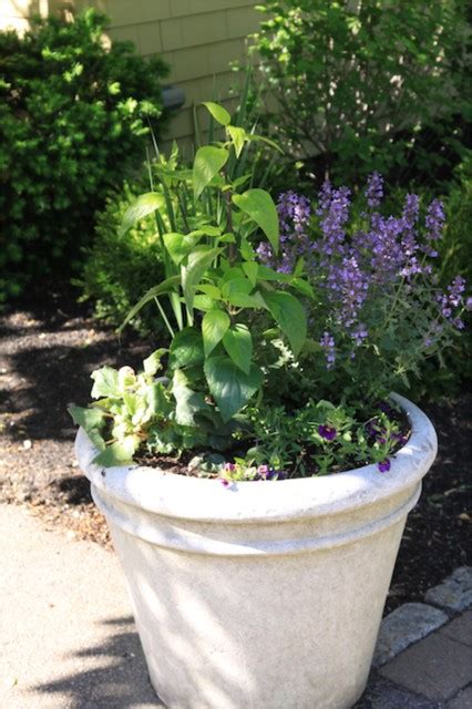 Seasonal Container Plantings Changeovers Classique Jardin