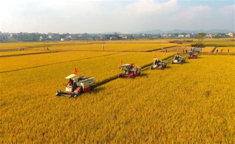 粮食作物成本保险和种植收入保险将扩容提升科普中国网