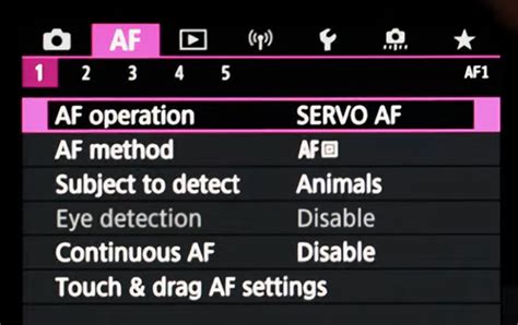 These Are the BEST Camera Settings for Wildlife Photography (VIDEO ...