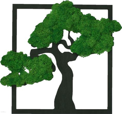 Drzewo Bonsai z mchem chrobotkiem Żywy Obraz 50 cm Ceny i opinie