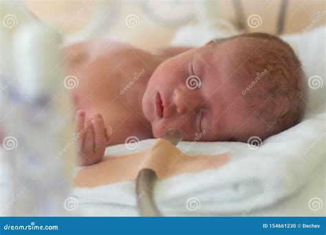 Premature Newborn Baby In The Hospital Incubator Neonatal Intensive