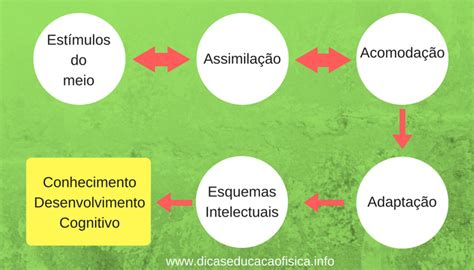 Abordagem Construtivista na Educação Física Escolar Dicas EF