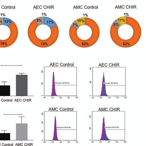 Cell fate in response to GSK3β inactivation A Flow cytometric cell