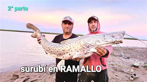 HERMOSO SURUBÍ y mucha pesca DORADOS MONCHOLOS TERRIBLES YouTube