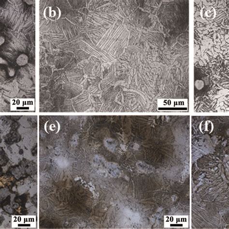 Metallographic Microstructure Of Ti25taxag Ternary Alloy Samples