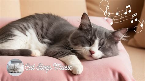 Relaxing Cat Lullaby 3 Hour Of Soothing Music For Cats And Kittens