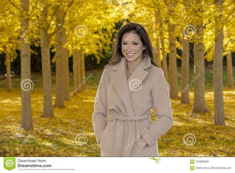 Beautiful Korean Brunette Model Posing In A Field Of Yellow Leav Stock Photo Image Of Ginkgo