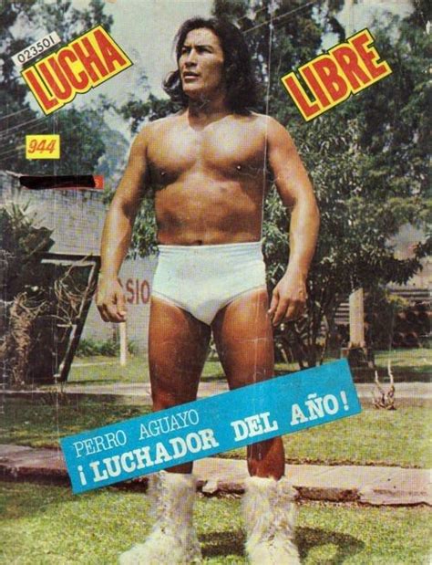 Pedro Perro Aguayo Lucha Libre Perro Aguayo Lucha Libre Mexicana