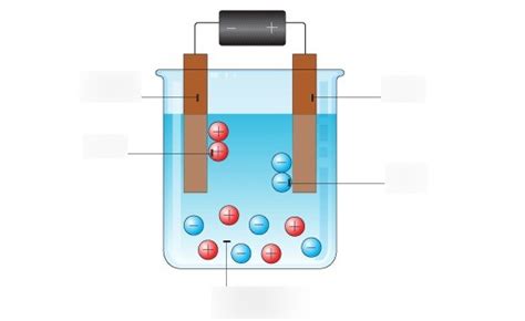 Electrolysis Of Water Labelled Diagram Electrolysis Labelled