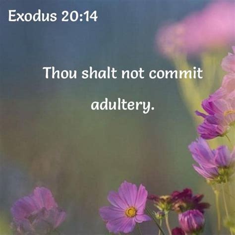 Bible Verses About Adultery 33 Passages King James Version Kjv