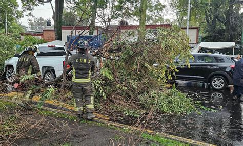 Lluvias Y Vientos Dejan Encharcamientos Y Rboles Tirados Al Sur De Cdmx