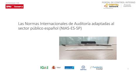 Las Normas Internacionales De Auditoría Adaptadas Al · Las Normas