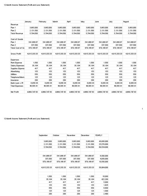 12-Month Income Statement Profit-And-Loss Statement - Sheet1 | PDF ...