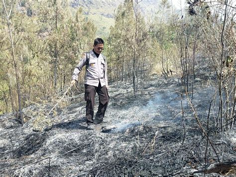 Kebakaran Hutan Di Gunung Arjuno Diduga Dipicu Aktivitas Pemburu Liar