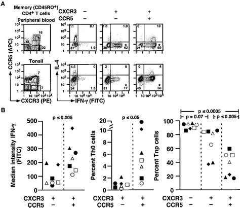 Ccr5 Memory Cd4 T Cells Are A Highly Differentiated Subset Of Cxcr3