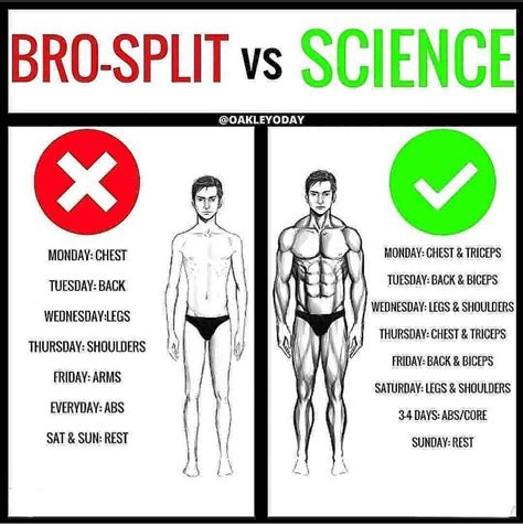 Science Based Workout Routine