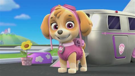 Skyegallery Paw Patrol Paw Patrol Pups Paw Patrol Nickelodeon