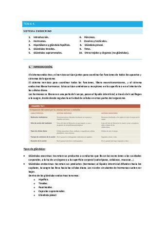 TEMA 4 Fisio 2 Pdf