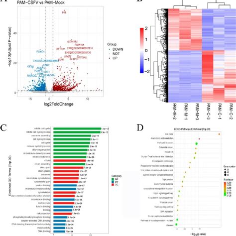 Global Comparison Of Degs In Different Groups A Volcano Plot Of