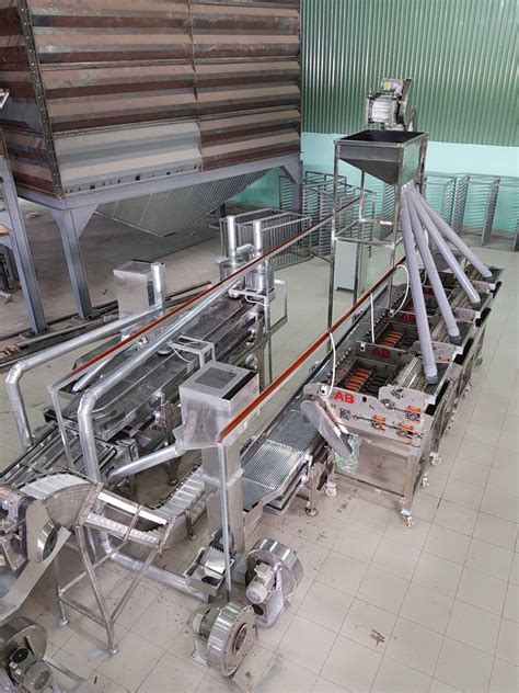 Automatic Cashew Processing Plant MEKONG TECHNOLOGY VIETNAM