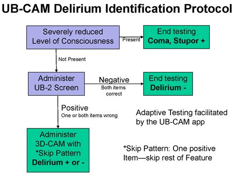 Update On The Ultra Brief Confusion Assessment Method Ub Cam Nidus