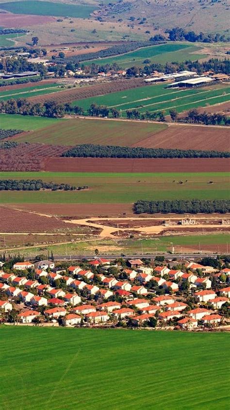 What is a Kibbutz? Israeli Farming Communities Attacked by Hamas