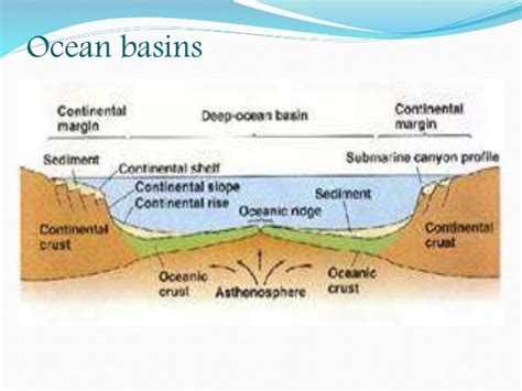 Ocean Floor Features Ppt | Review Home Co