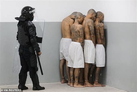 RAPHAEL ROWE: Is the El Salvador mega jail the most hellish prison on earth? trends now