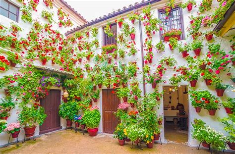 Patios De Andalucia Lugares Donde No Puedes Perderte Los Patios