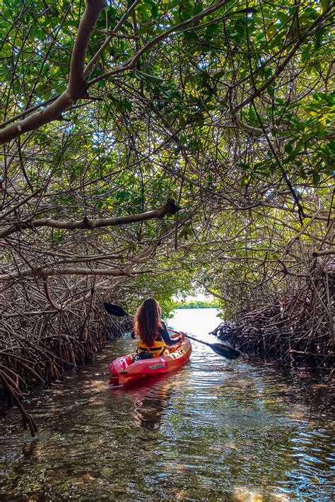 Bonaire Bezienswaardigheden X Wat Te Doen En Tips Travellust Nl