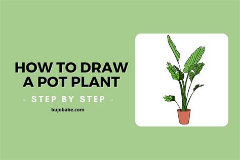 Flower Pot Drawing Tutorial Best Flower Site